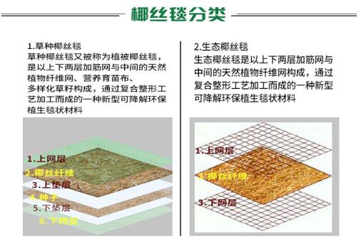 椰絲毯在實際護坡工程中的應用